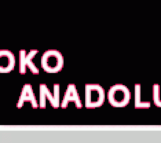 Toko Anadolu